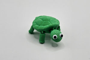 Turtly Buddy
