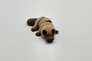 Playful Platypus